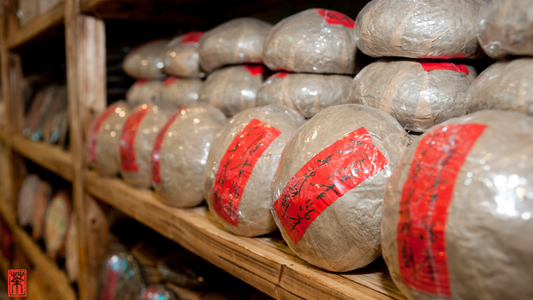 Pu-Erh-Tee Lagerung & Reifung – Wie du deinen Tee richtig aufbewahrst