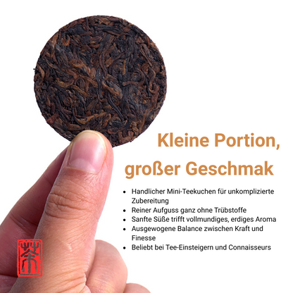 Pu’er-Serie Premium-Probierbox (5 × 8 g = 40 g Tee):