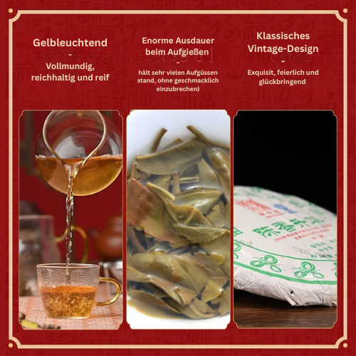 Chen Sheng Hao 2012 „Chen Sheng Yiwu“ | Premium Sheng Puerh – 10+ Jahre Reifung (357g)