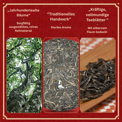 Chen Sheng Hao 2018 | Nannuo Dashu (南糯大树) – Premium Puerh Sheng Cha (357g)